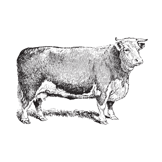 Beef